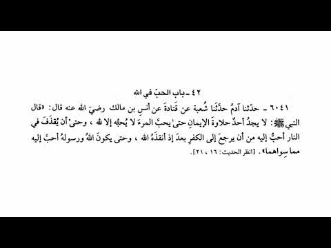 الحديث رقم 6041 لا يجد أحد حلاوة الإيمان حتى يحب المرء لا يحبه إلا لله صحيح البخاري