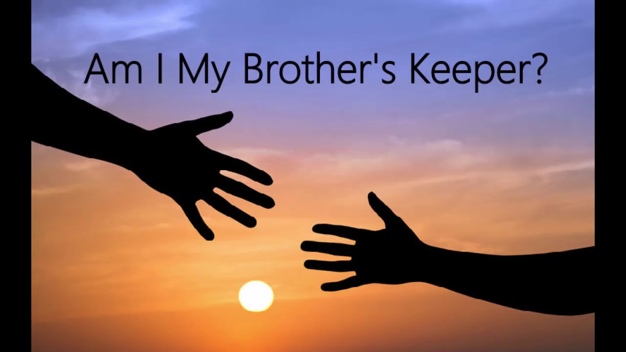 TOSYNO moncloa aviary  jorjor