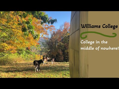 Location, Location, Location: Williams College | Pros & Cons of a Rural College