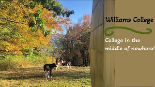 Location, Location, Location: Williams College | Pros & Cons of a Rural College