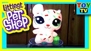 Littlest Pet Shop Toys 2019 Hasbro Lps