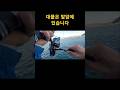 필사적으로 드렉을 차고 나가는 부시리를 결국 올리는 드래거