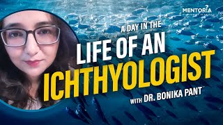 Building a Career as an Ichthyologist | Mentoria