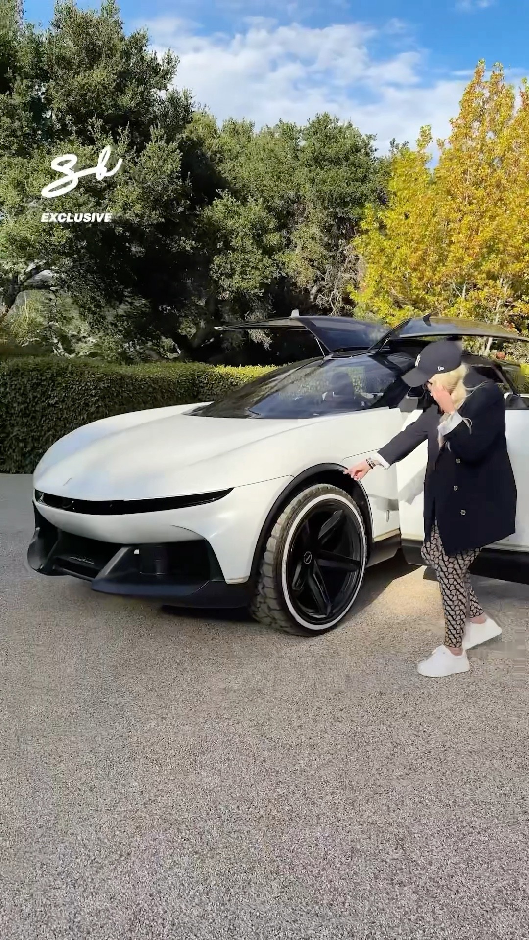 It has roof wing doors and a wine cooler in the back ? #pininfarina #supercars #vehicles