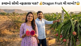 કચ્છના ખેડૂતો માટે Dragon Fruit (કમલમ) Farming 🌵💰 | High Profit Crop Guide 2026 🚜