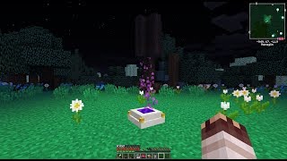 FTB Interactions Beta Supershorts #4: Overworld, Scanner, Pure Daisy