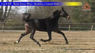 Lot #229 - Basin Street Blues