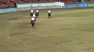 Sydney Royal Easter Show | Australian National Anthem &  World Championship Campdraft Round 3