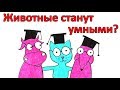 Что, если все животные на земле станут умными?