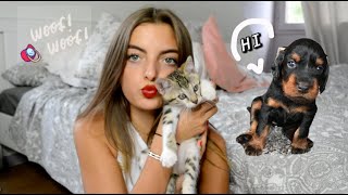 JE VOUS PRÉSENTE MES 10 ANIMAUX JE VOUS PRÉSENTE MES 10 ANIMAUX
