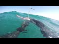 🐳 صيد الأسماك بالغوص الحر في الجحور المظلمة🦀🐙 في البحر الأبيض المتوسطي (طنجة،المغرب)