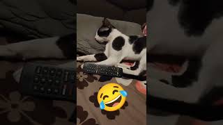 TV dekh kar Borr Ho Gaye📺 #viralvideo #youtubeshorts #cutebaby #trendingshorts 🥰