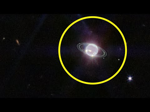 Wissenschaftler machten eine