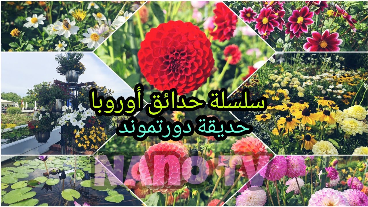 سلسلة حدائق أوروبا ( حديقة دورتموند) 💐أسرار ومفاجآت!!💐