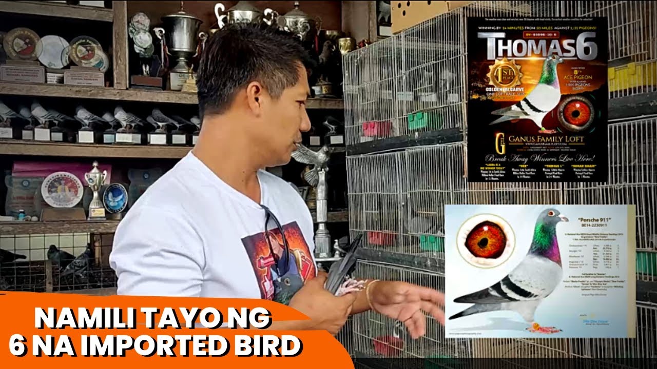 ANG MAHAL PALA MAG IMPORT NG IBON GALING US.part 1