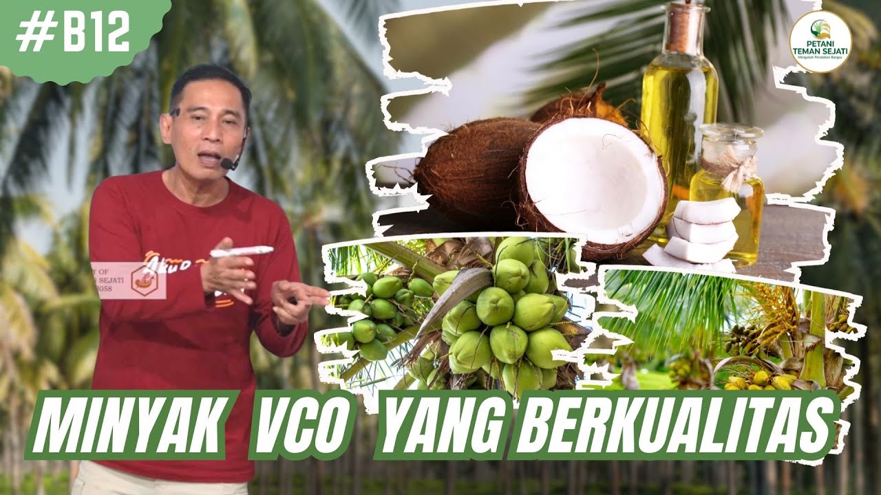 Cara Mudah Membuat Minyak VCO Yang Berkualitas