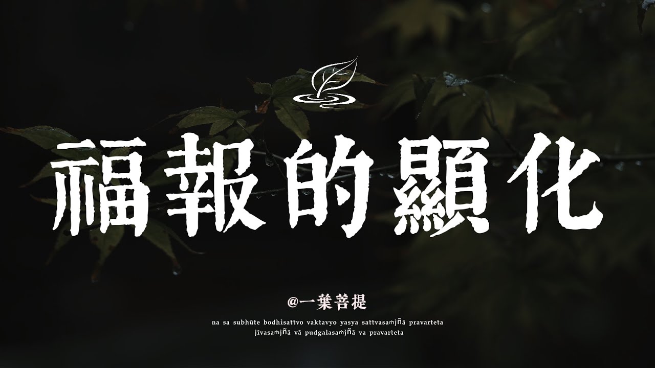 錢是福報的顯化 用手段賺來的財富 都帶著業障 🍃 一葉菩提 #修行 #國學 #禪 #治癒 #開悟 #佛學