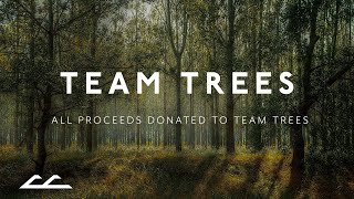 Chillchief - Team Trees SONG!!