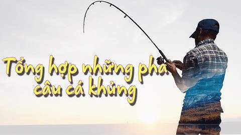 Tổng hợp những pha câu cá rít cước cực phê