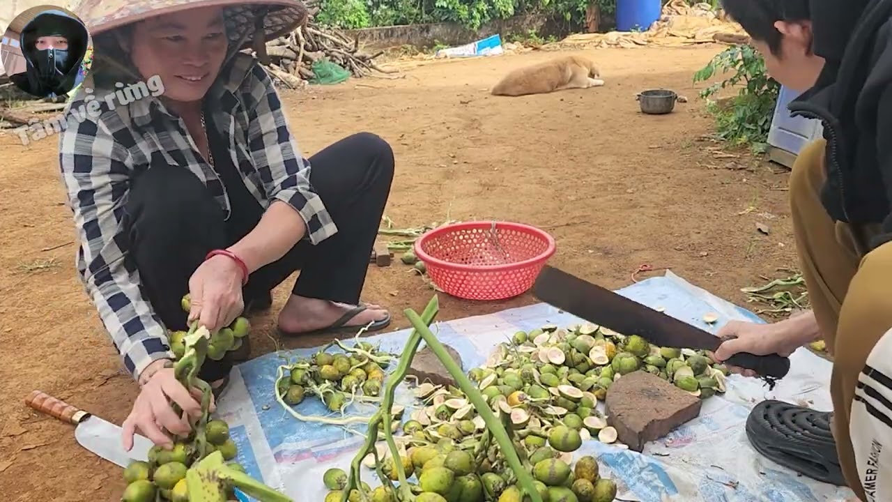 Vlog Bổ Cau | Tâm Về Rừng #26