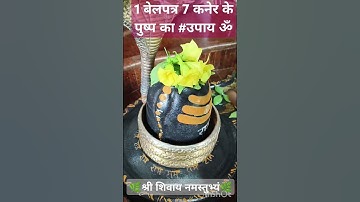 1 बेलपत्र 7 कनेर के पुष्प का #उपायॐ।#pandit_pradeep_ji_mishra #upay #katha #mahadev#mahakal #shorts