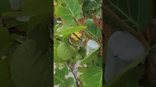 Trail of Treasures: Hiking Hog Cay's Unique Path