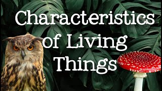 5 characteristics of living organisms qualities of living things for kids freeschool