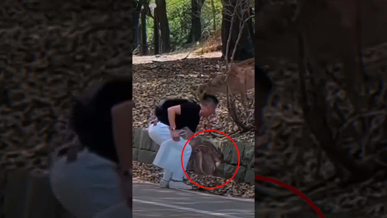 Saving This Baby Deer Changed His Life Forever 🥺🦌❤️ #shorts