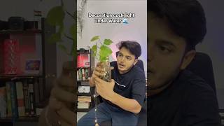 Decoration Cock light Under-WaterTesting 🌊☔ #review