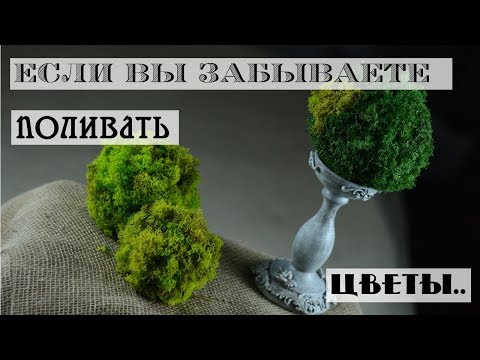 Video: Moss Paneli: Stabilləşdirilmiş Yosundan Və Divarındakı Silikon çiçəklərdən, Interyerdəki Digər Variantlardan, DIY Istehsalı