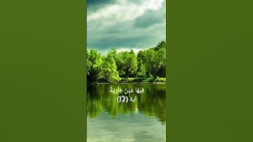 الايات من 1 الى 16 سورة الغاشية