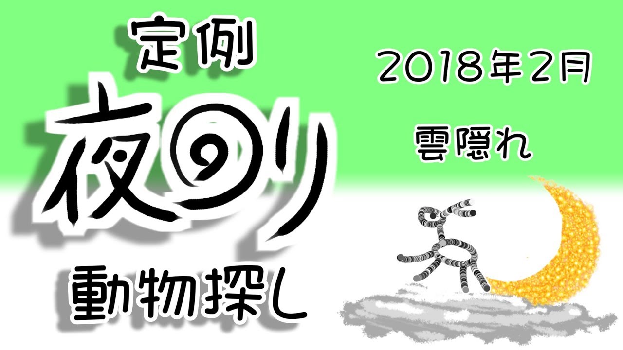 野鳥雨靴 定例夜回り動物探し 2018年2月 越冬サバイバル