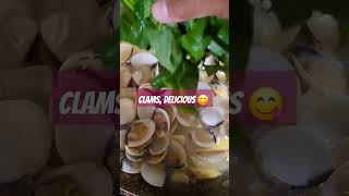One of my favorite sea food 😋 #clams #shortsviral #shorts #shortsyoutube