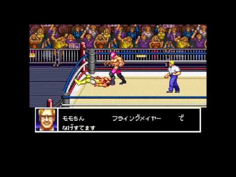 船木誠勝 HYBRID WRESTLER 闘技伝承