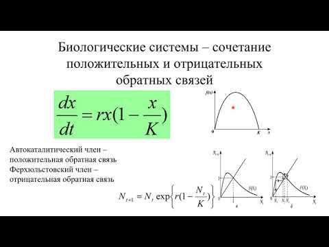 Колебания в биологических системах