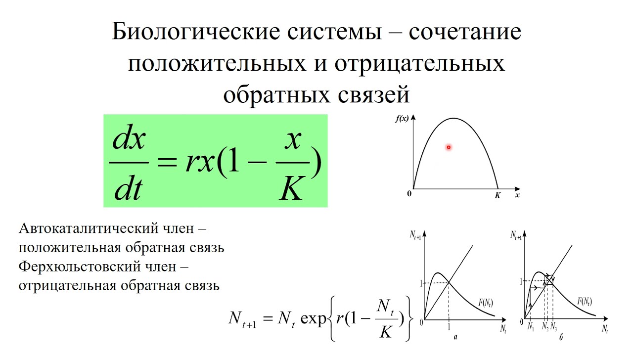 Колебания в биологических системах