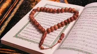 سورة التكاثر محمد الطبلاوي