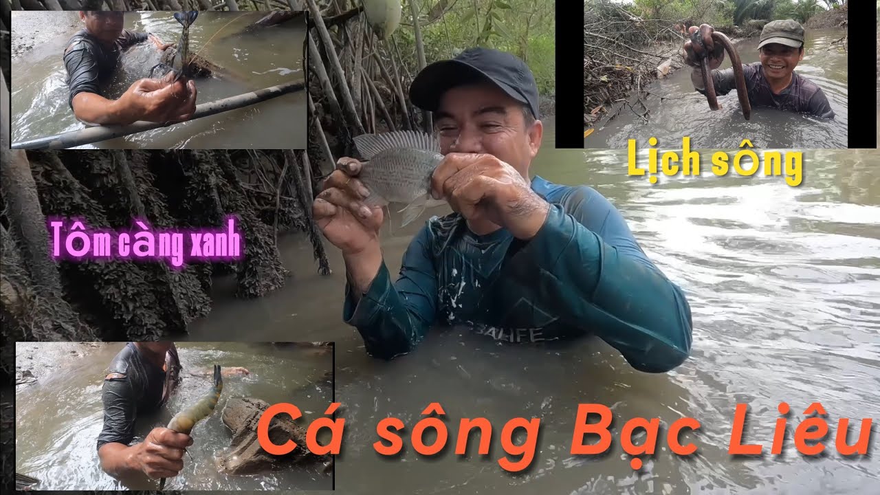 Bắt cá Bạc Liêu, không ngờ sông Bạc Liêu cá nhiều ghê, phần 1/2