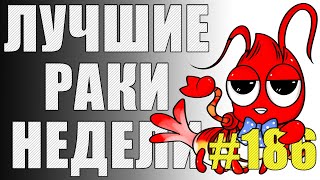 картинка: ЛРН выпуск №186 ⭐ РАКООБРАЗНЫЕ ПОДСАДКИ и ЛЕТАЮЩИЙ ДРИФТЕР ⭐  [Лучшие Раки Недели]