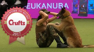 Amazing Dog Performs CPR, Squats and Press Ups in Heelwork To Music Routine | Crufts 2017
