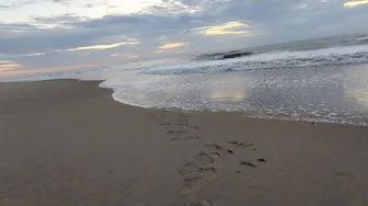 Ocean City Maryland Footprints in the Sand