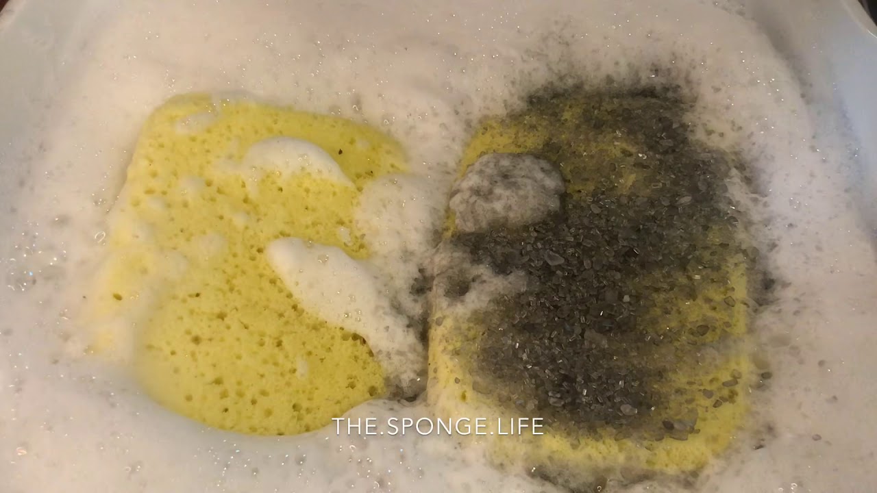 Bath Salts Sandwich! 🥪 - YouTube