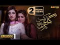 Pakistani Drama | Gila Kis Se Karein - Episode 1 | Express TV Gold | Aiman Khan,Asim Mehmood | I2D1O