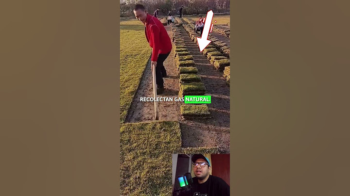 ✅ This is how you harvest natural grass and transform your outdoor space!