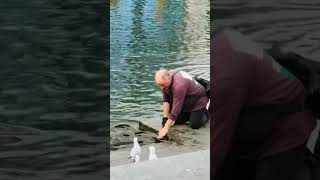 😲 Watch What Happens When He Feeds These Giant Fish!