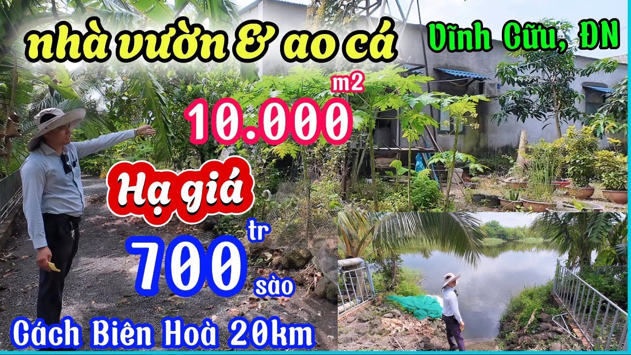 Nhà đất đồng nai, Hạ Giá nhà vườn ao cá rộng rãi siêu đẹp hơn 1 héc 10.000m2 cách Biên Hoà 20km