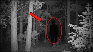 The SIERRA Sounds — The CREATURES Recorded In The WOODS