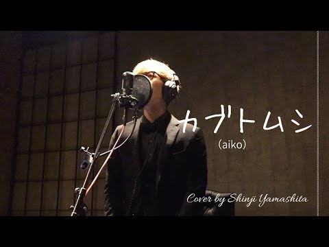 カブトムシ　aiko　COVER by Shinji Yamashita