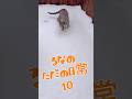 るなのただの日常10（一般公開）#shorts