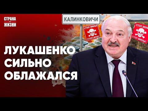 ЛУКАШЕНКО ОПОЗОРИЛСЯ. Минное поле под Витебском. Силовики схватили студента из Конго